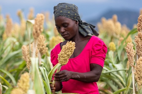transforming agriculture through innovation