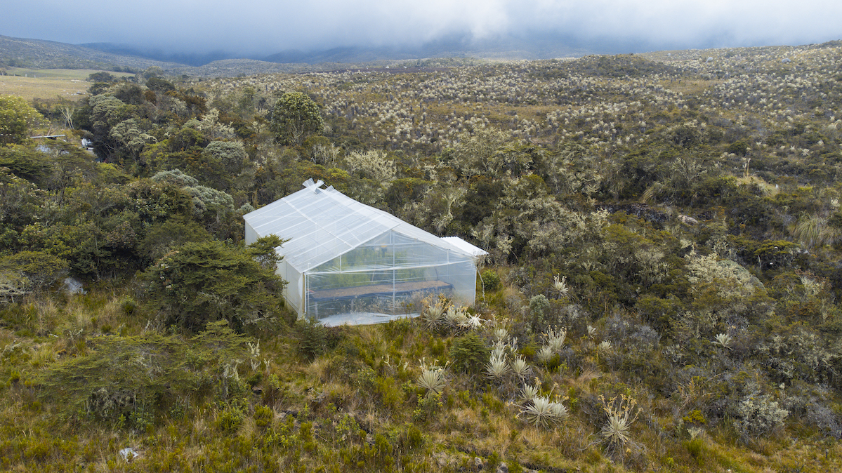 Greenhouse in Colombia