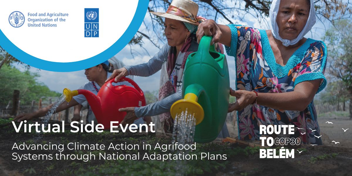 Long banner for COP30 side event 