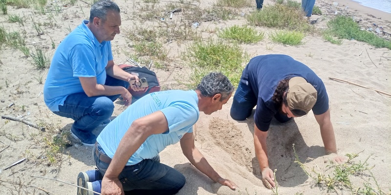 Community members examine the sandy dunes during a beach conservation activity in Kharayeb, Lebanon.