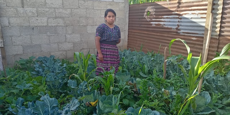 A woman stands in her garden of plants in Sololá, Lake Atitlán, Guatemala