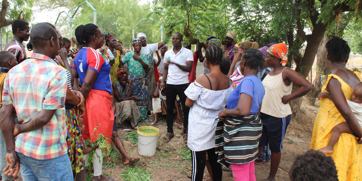 Community members attend a training for organic vegetable production in Ghana