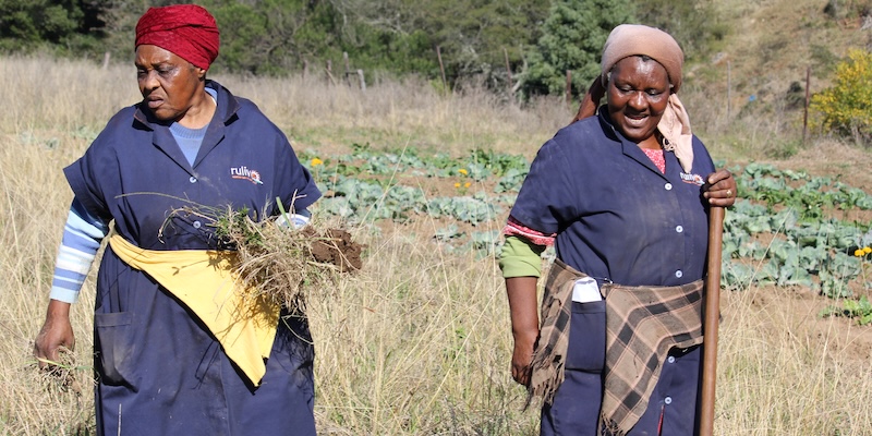 Two women from the community work in the Mqhayise garden in the Eastern Cape, South Africa.
