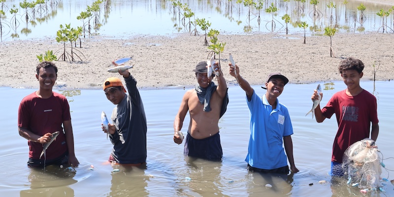 Community members show milkfish at the Labuhan Bajo silvofishery in Indonesia. 