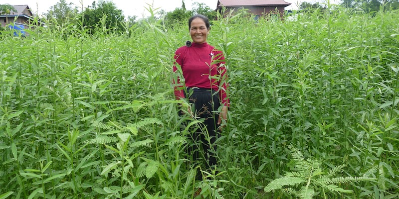 A woman stands in her crop field in Cambodia.