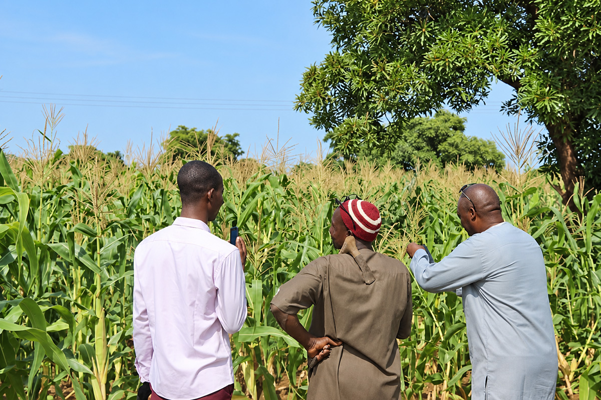 Farmers in Burkina Faso work on their fields.