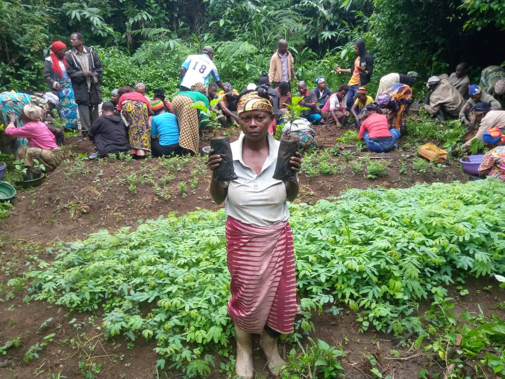 Participants in the reforestation activity in South-Kivu, PIFEVA