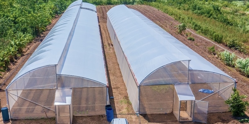solar panels