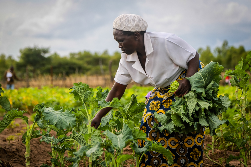 Green Climate Fund approves US26.6 million grant on ‘Building Climate Resilience of Vulnerable