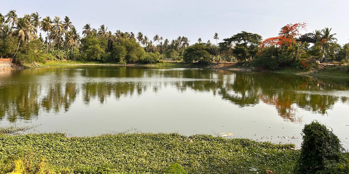 Waterbody landscape in Satpala, Mumbai, India