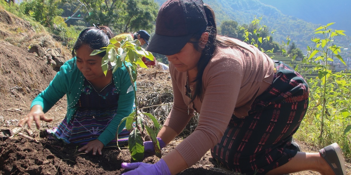 Two women planting in Sololá district, Lake Atitlán, Guatemala