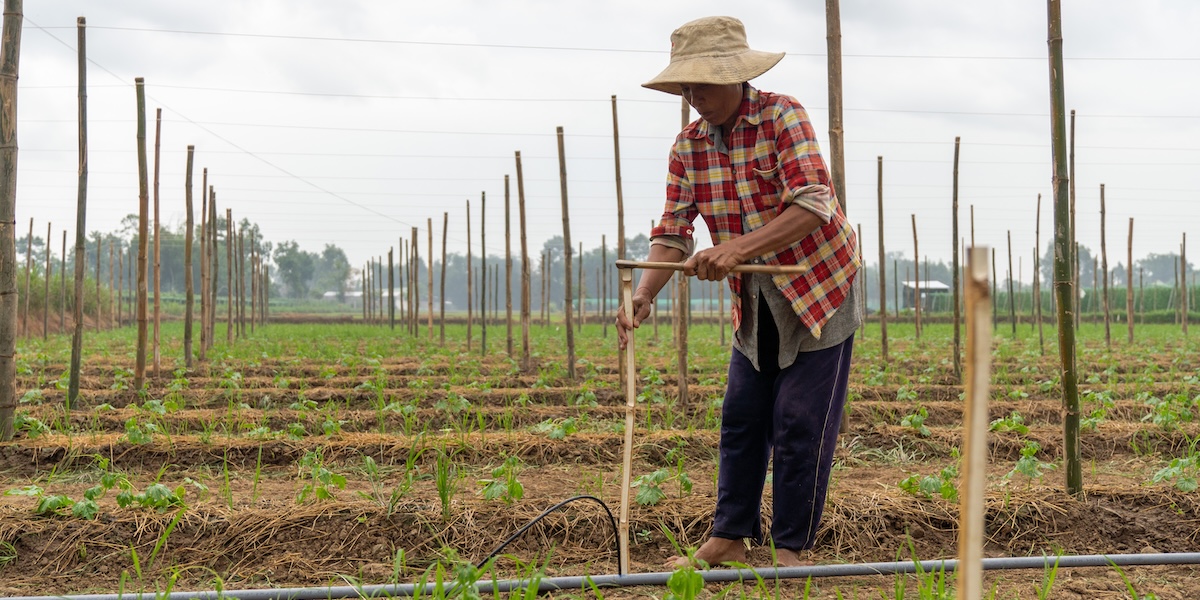 A farmer works on the irrigation system at a farm in Viet Nam.
