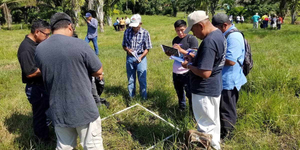 Promotion of SilvopastoraSystems for Livestock Intensification and Climate Resiliency Belize