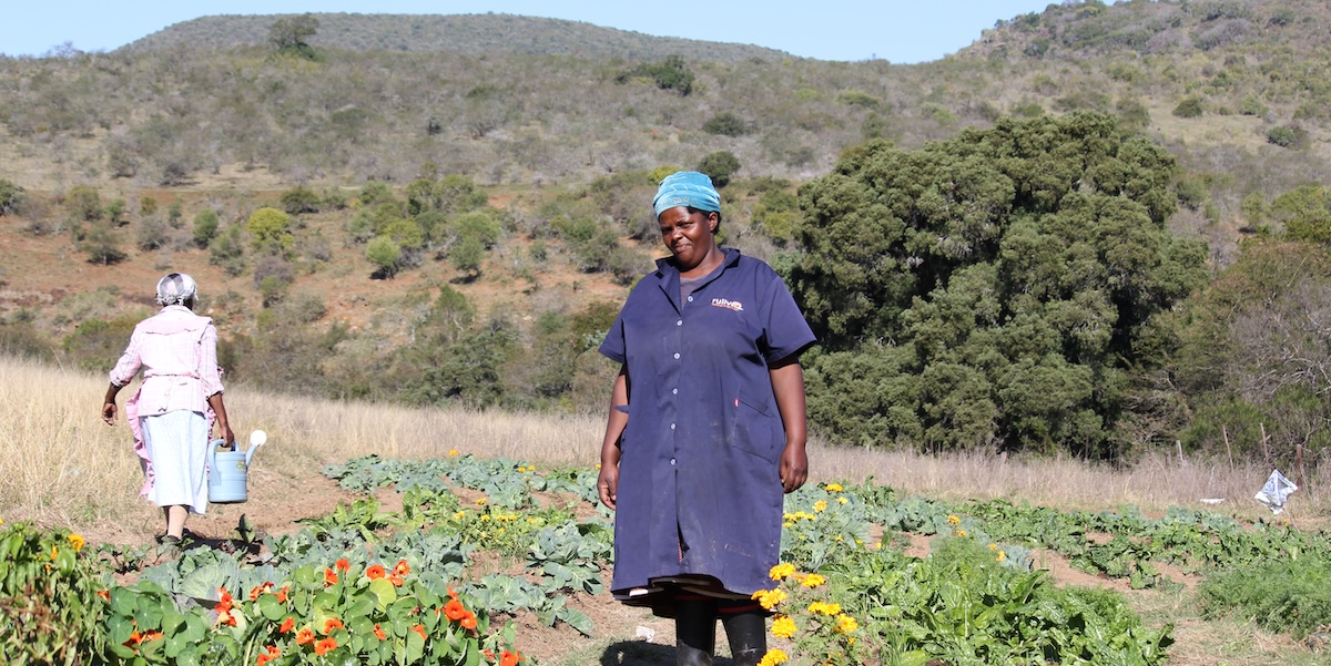 A woman stands by the flowers of a community garden in the Amatole Basin of the Eastern Cape in South Africa.