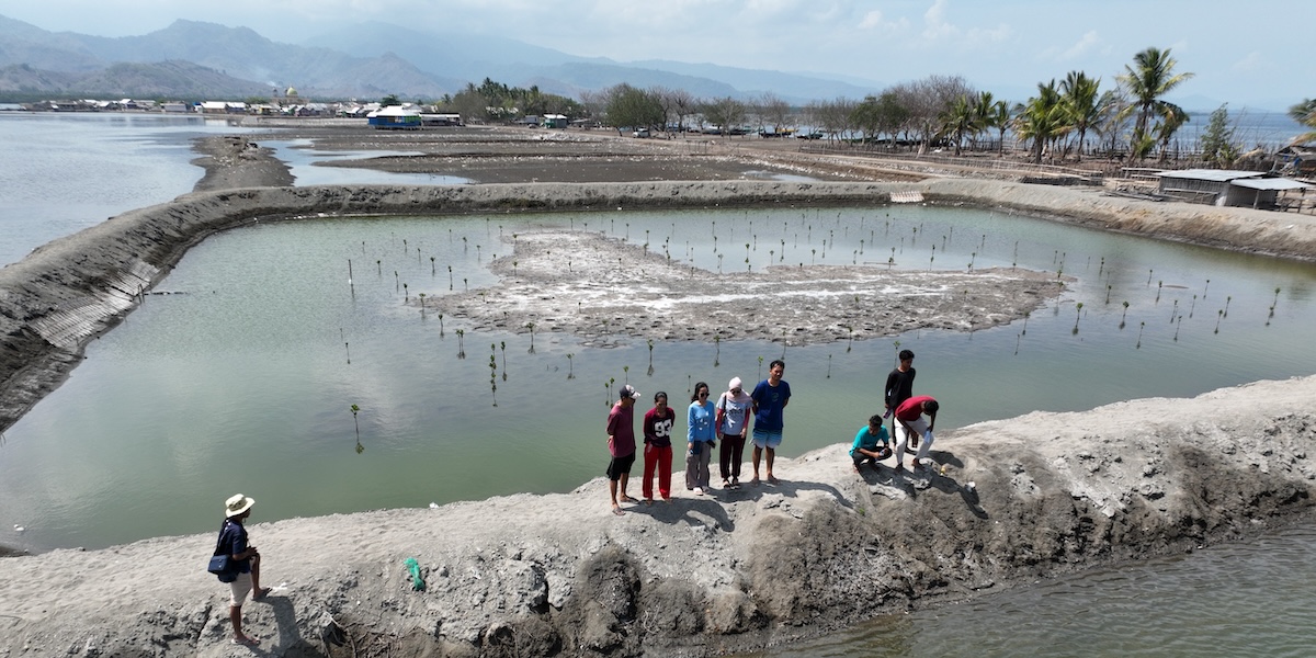 Kabete Bajo community members learn how to use a drone to monitor mangrove restoration at the silvofishery ponds in Labuhan Bajo village