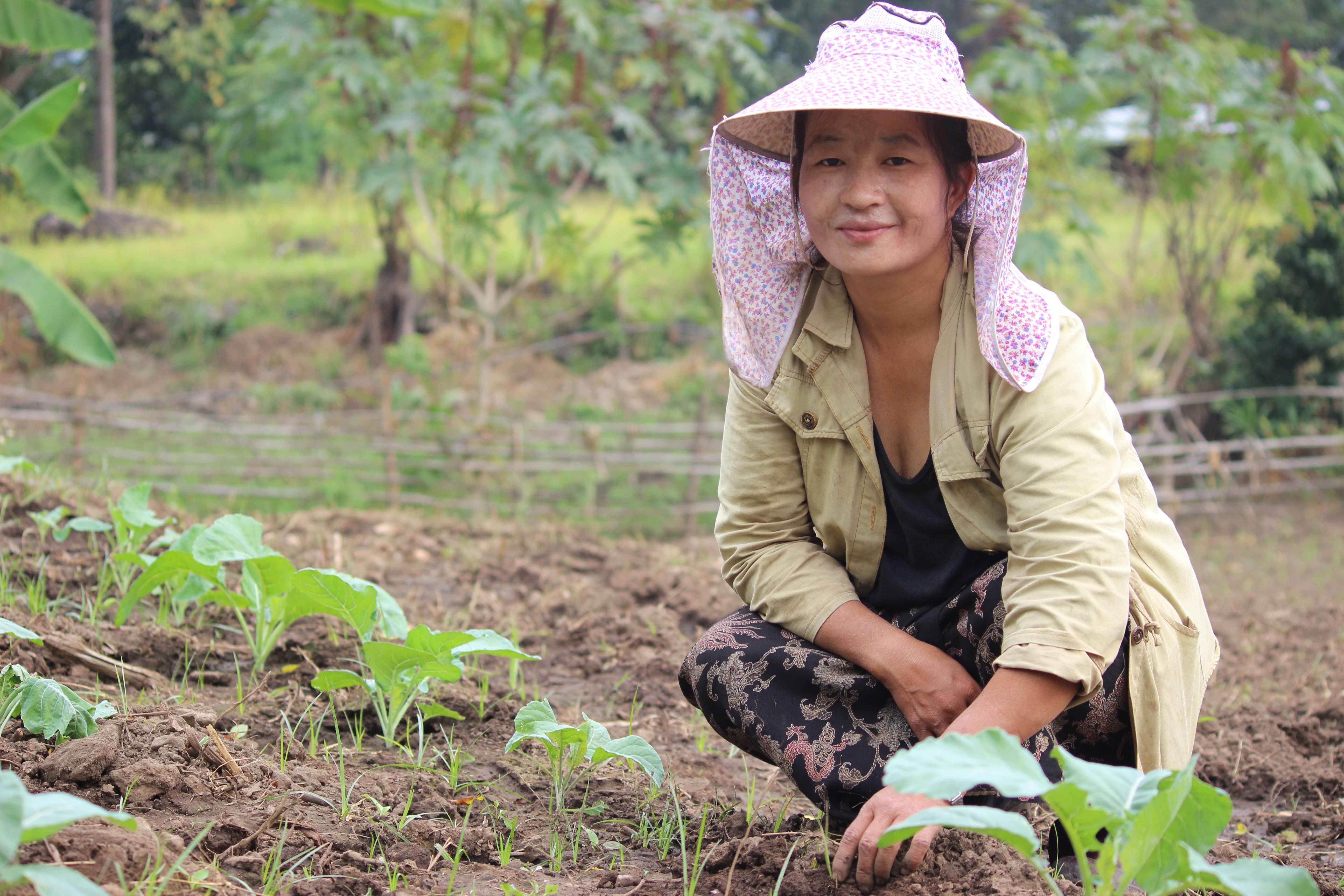 Bhutanese woman sitting in a field with crops and looking at the camera