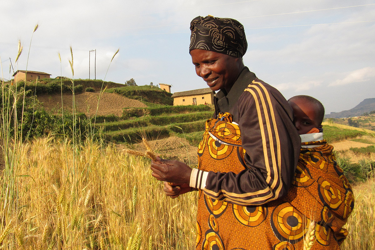 Systematic Observations Financing Facility approves 3.1 million