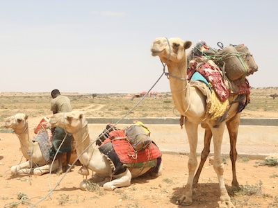 Preventing droughts, floods and soil erosion in land desperately needed