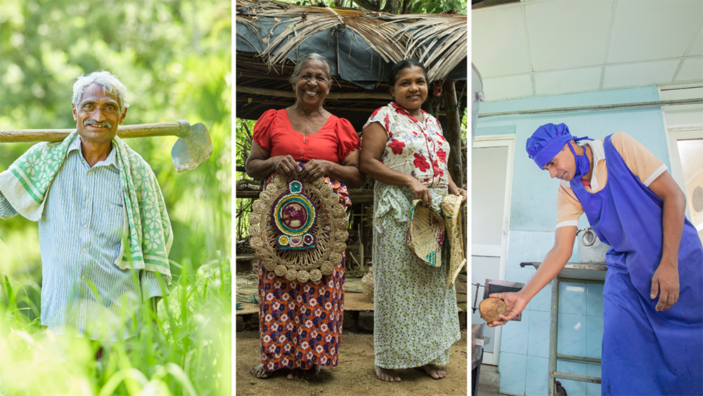 Rethinking climate change adaptation in Sri Lanka | UNDP Climate Change ...