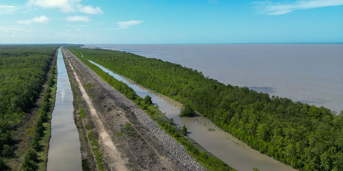 Aerial view of mangrove channels in Coronie district, Suriname
