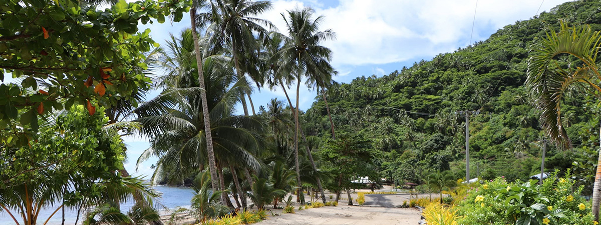 Tropical coastal landscape in Samoa, with palm trees, dense forested hills and a shoreline bordered by lush vegetation.