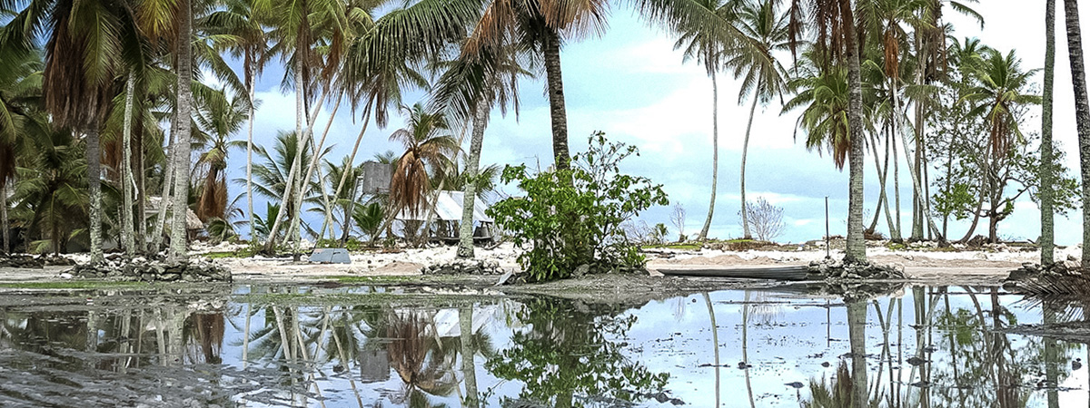 Coastal flooding inundates a low-lying tropical shoreline, with palm trees and homes reflected in standing seawater.