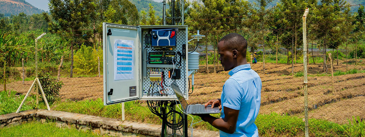 A technician in Rwanda uses a laptop to check data from a modern weather monitoring station installed beside farmland.