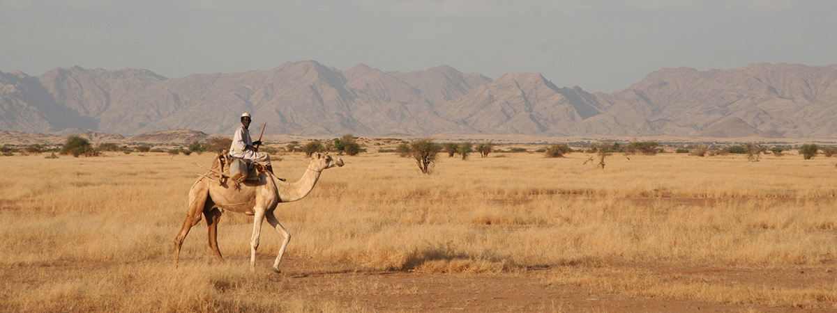 A person rides a camel across a dry grassland plain, with scattered trees and rugged mountains in the background.