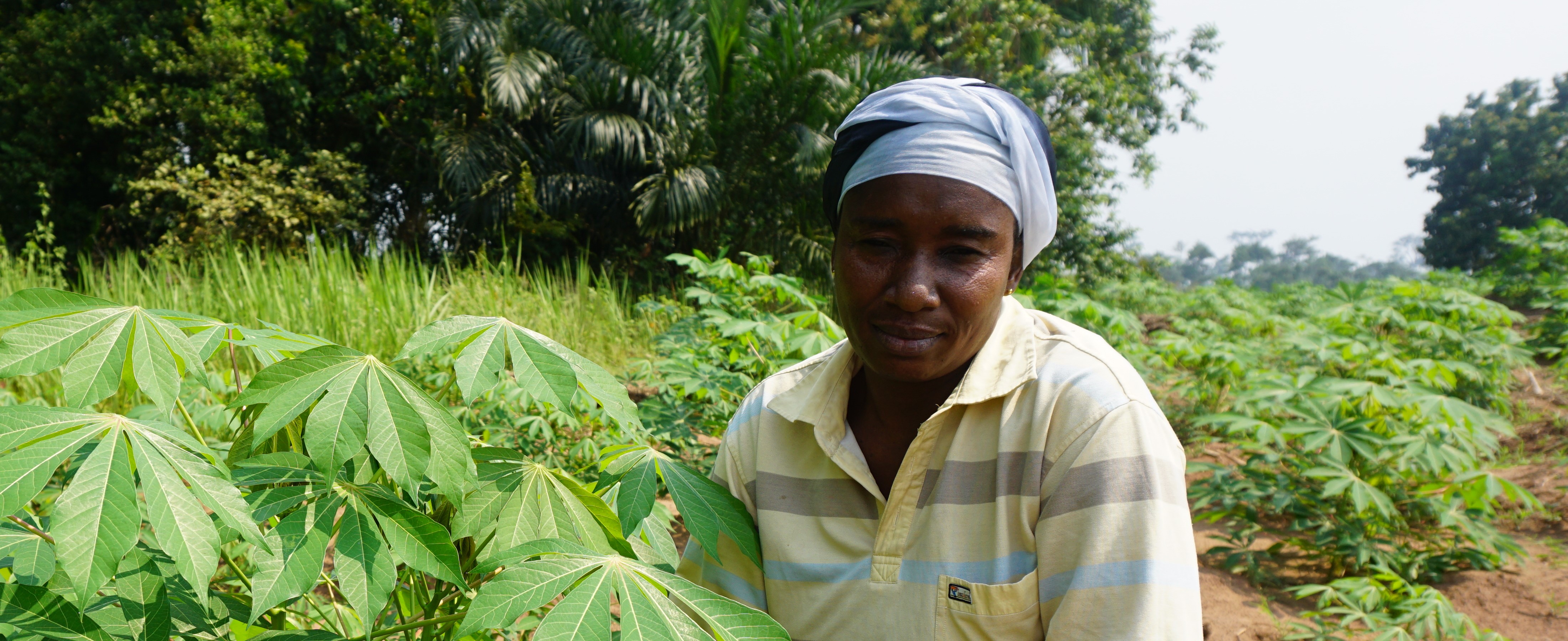 Farmer in field in Democratic Republic of the Congo