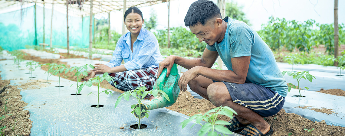 A man waters seedlings while a woman farmer smiles beside him, working together in a rural greenhouse to grow climate-resilient crops.