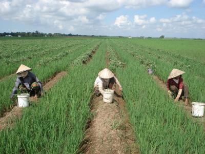 farming