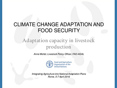 Adaptation Capacity In Livestock Production Undp Climate Change