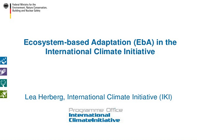 Ecosystem Based Adaptation Eba In The International Climate