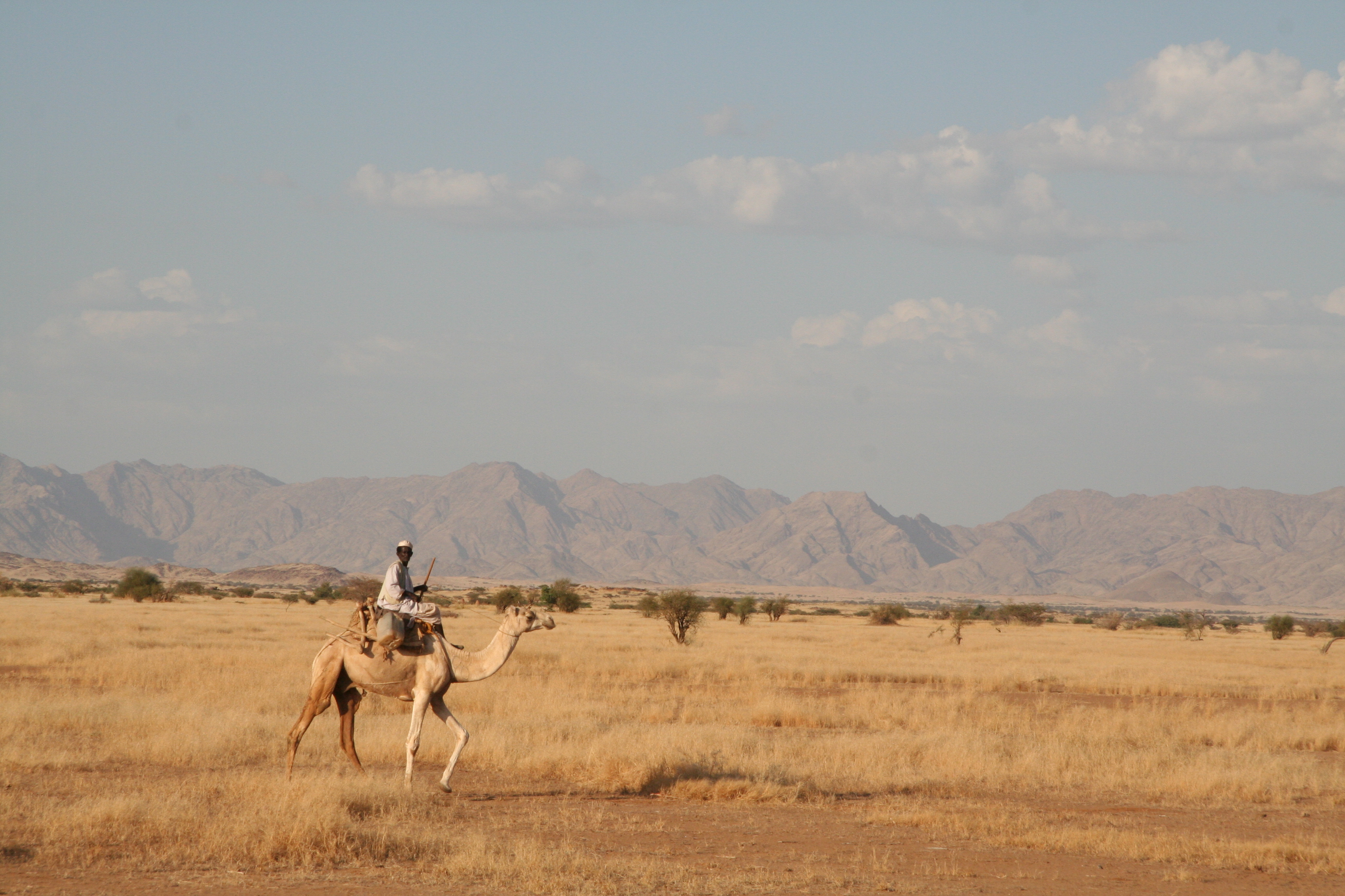 UNDP-ALM Eritrea Case Study (November 2012) | UNDP Climate Change Adaptation, image size:3456x2304