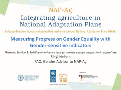 Measuring Progress On Gender Equality With Gender Sensitive Indicators