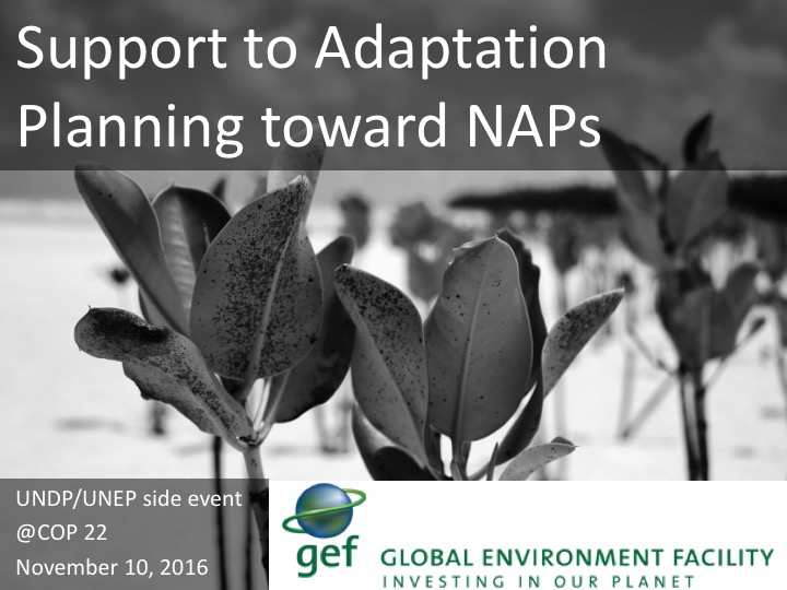 Support to Adaptation Planning toward NAPs | UNDP Climate Change Adaptation