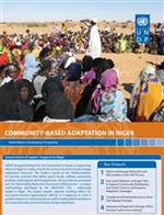 Community-Based Adaptation in Niger (June 2010) | UNDP Climate Change