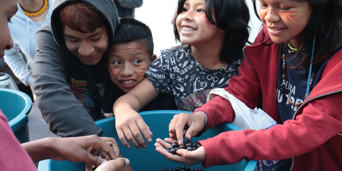Guaraní children gather around a basket of açaí berries in Brazil.