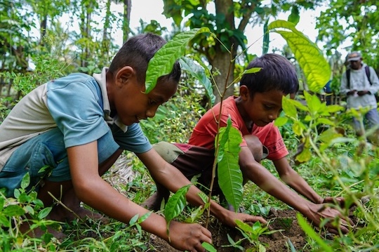 Two young boys plant tree seedlings in a lush green area as part of a community reforestation