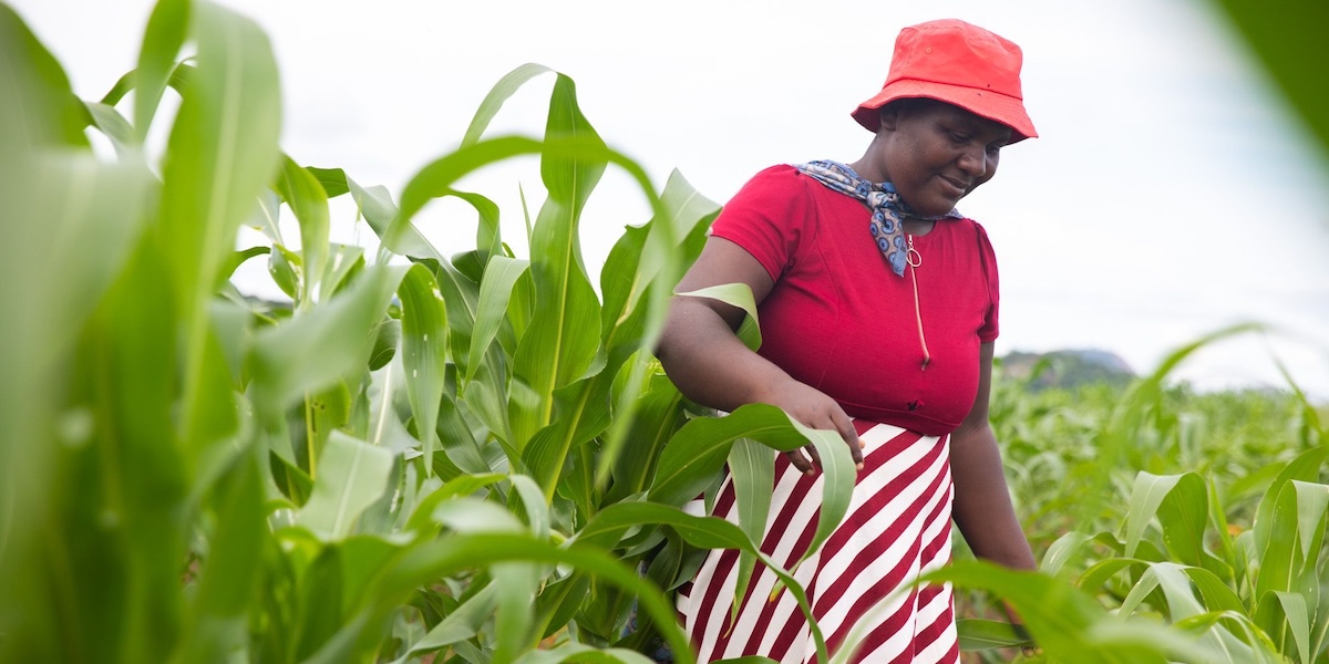 climate resilient farming