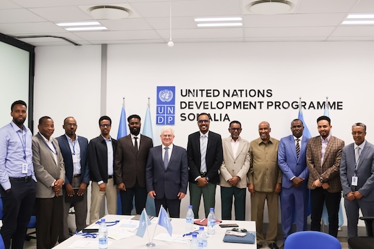 Group of professionals in suits posing in front of a UNDP banner.